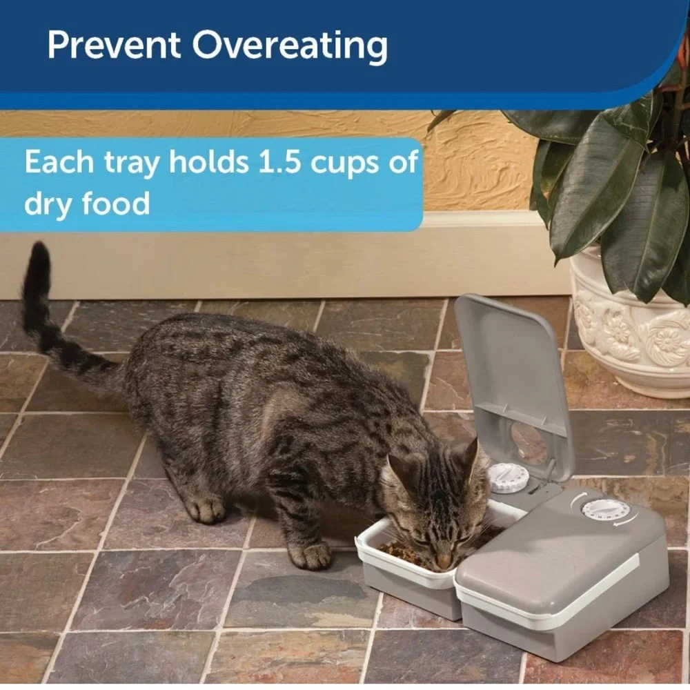 PetSafe 2 Meal Automatic Pet Feeder